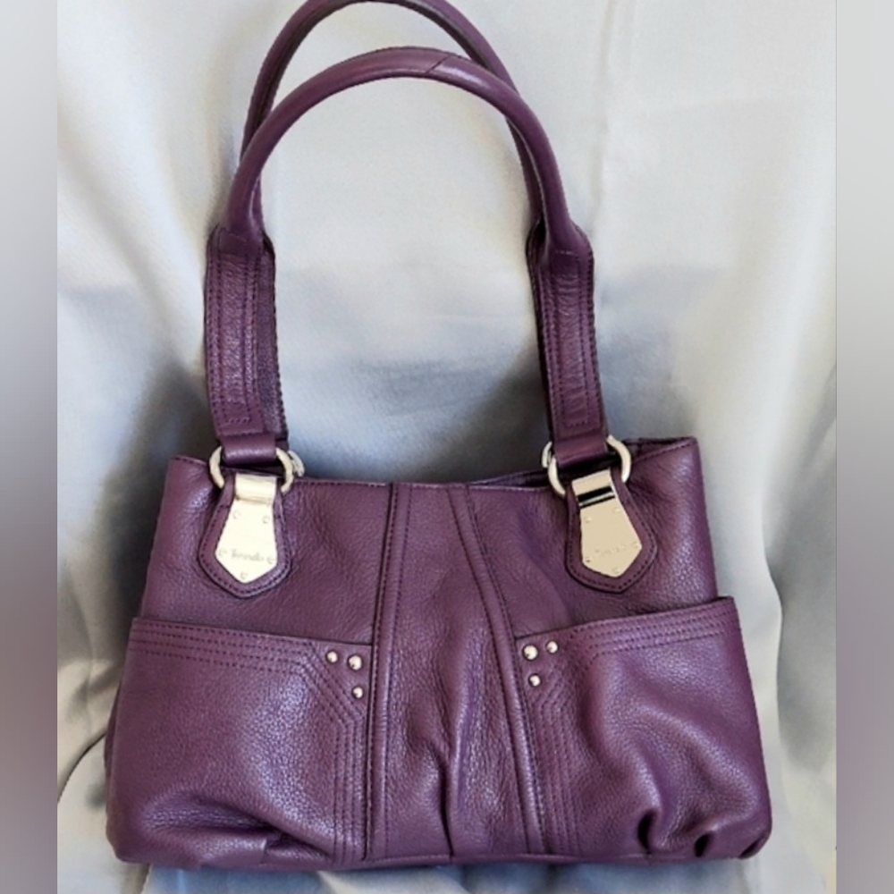 Tignanello Bag, Pebble Leather, Multi Pockets, Silver Hardware, Double Handles